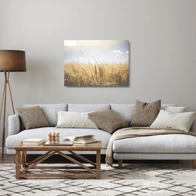 Tablou pe sticlă cu grâne (70x50 cm)