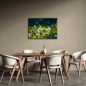 Tablou - Iarbă (70x50 cm)