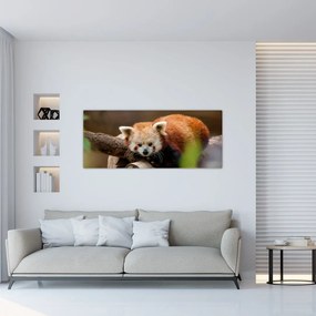 Tablou cu panda roșie (120x50 cm), în 40 de alte dimensiuni noi