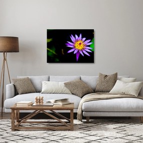 Tablou pe sticlă cu floare (70x50 cm)