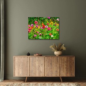 Tablou cu flori de luncă (70x50 cm)