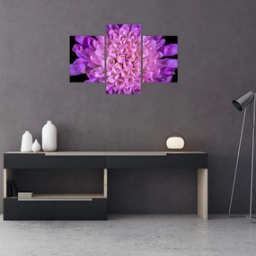 Tablou detailat cu floare (90x60 cm)
