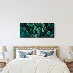 Tablou - Opuntia (120x50 cm)