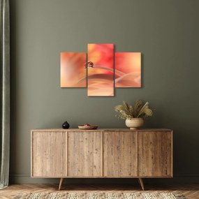 Tablou picăturii de rouă pe floare (90x60 cm)