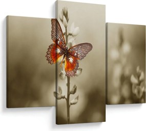 Tablou cu fluture (90x60 cm)