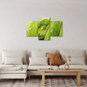 Tablou cu șarpe (90x60 cm)