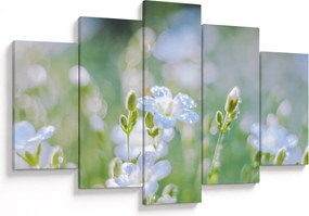 Tablou - Flori delicate (150x105 cm)