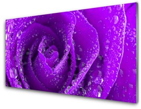 Tablou pe sticla Rose Floral violet