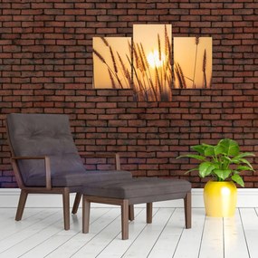 Tablou - Iarbă la soare (90x60 cm)