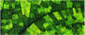 Tablou - Detaliu frunze (120x50 cm)