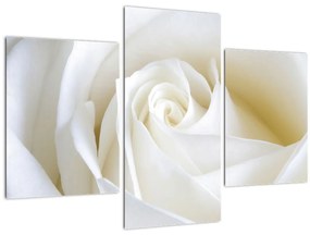 Tablou cu tandafir alb (90x60 cm)