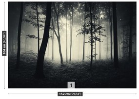 Fototapet Misty Forest