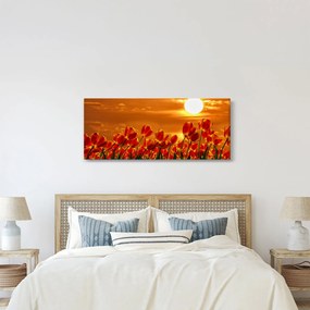Tablou - lan înflorit de lalele (120x50 cm)