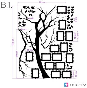 INSPIO Autocolant pentru perete - copac cu fotografii 9x13cm