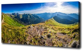 Tablou canvas Panorama de munte
