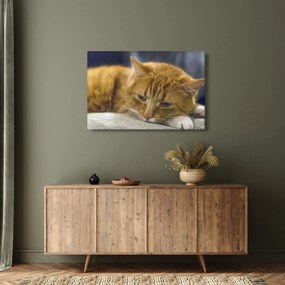 Tablou cu pisica (90x60 cm)