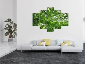 Tablou - privire în coroanele pomilor (150x105 cm)