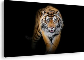 Tablou - Tiger (90x60 cm)