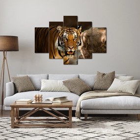 Tablou cu tigrul (150x105 cm)