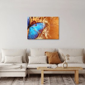 Tablou - Fluture albastru (70x50 cm)