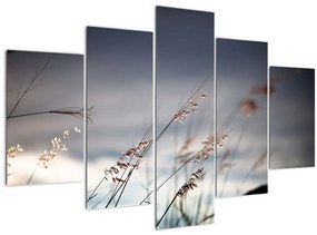 Tablou -Flori de luncă (150x105 cm)