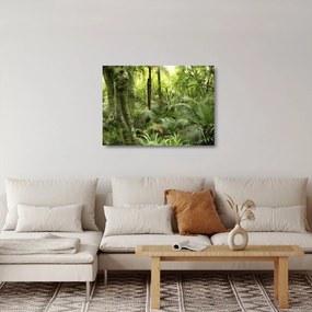Tablou pe sticlă - Pădure tropicală (70x50 cm)