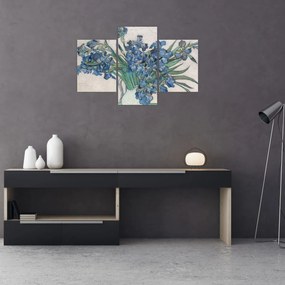 Tablou - Vincent van Gogh, Irises, reproducere (90x60 cm)