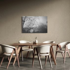 Tablou - Pajiște după ploaie (90x60 cm)
