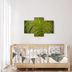 Tablou - Fern (90x60 cm)
