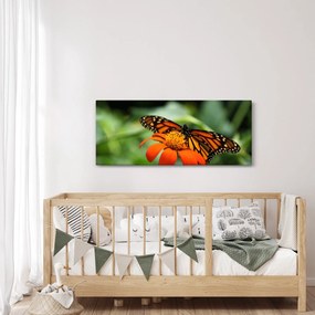 Tablou cu fluture pe floare (120x50 cm)