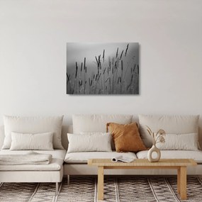 Tablou pe sticlă - Lamele de iarbă (70x50 cm)