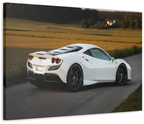 Tablou Canvas White Ferrari 90x60 cm