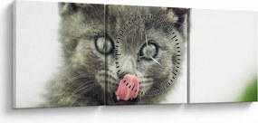 Tablou cu pisicuța lingându-se (cu ceas) (90x30 cm)