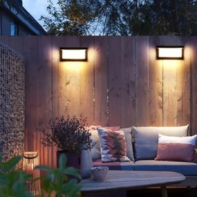 Aplică LED de exterior NEELY 1xE27/9W/230V 4000K IP54 negru