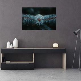 Tablou -Crenguțe ale unui conifer (90x60 cm)