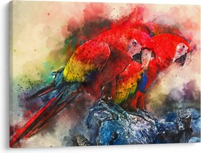 Tablou - Papagali roșii ara (70x50 cm)