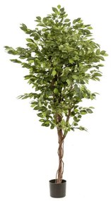 Ficus artificial Deluxe - 170 cm