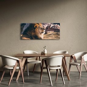 Tablou cu leul dormind (120x50 cm)