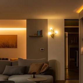 Aplică LED Brilagi MISTEL 3xG9/3W/230V auriu/alb