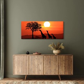 Tablou cu girafe în apus de soare (120x50 cm)