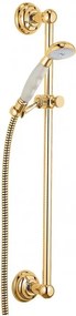 Set de dus Kludi Adlon auriu lucios cu bara 60 cm