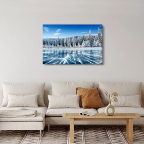 Tablou cu lacul înghețat și copacii înzăpeziți (90x60 cm)