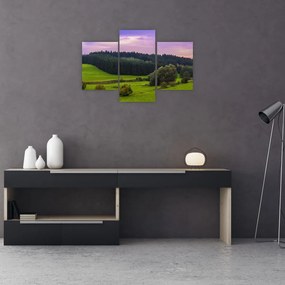 Tablou cu lunca (90x60 cm)