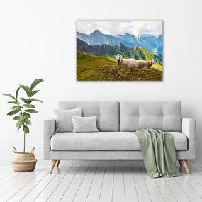 Tablou pe pânză canvas Oile în alpi