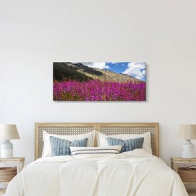 Tablou sceneriei cu lunca montană (120x50 cm)