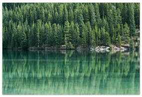 Tablou - Coniferi lângă lac (90x60 cm)