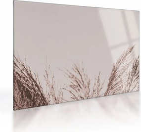 Tablou pe sticlă - Iarbă uscată (70x50 cm)