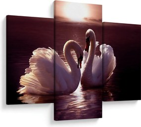 Tablou - Lebede pe lac (90x60 cm)