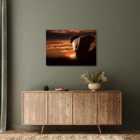 Tablou pe sticlă cu elefant (70x50 cm)