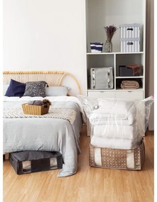 Cutii de depozitare din carton cu capac 2 buc. Stripes – Compactor